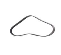 RIDEX PLUS 305P0407P Cinghia servizi