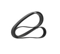 RIDEX PLUS 305P0408P Cinghia servizi per OPEL Vivaro A Kastenwagen (X83) 1687mm