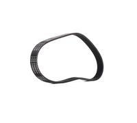 RIDEX PLUS 305P0450P Cinghia servizi