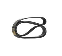 RIDEX PLUS 305P0457P Cinghia servizi