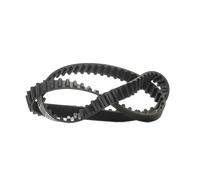 RIDEX PLUS 306T0021P Cinghia dentata