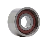 RIDEX PLUS 308T0049P Rullo tenditore, cinghia dentata