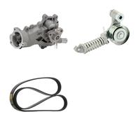 RIDEX PLUS 4172P0115P Pompa acqua + Kit cinghia Poly V