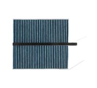 RIDEX PLUS 424I0629P Filtro abitacolo