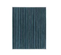 RIDEX PLUS 424I0663P Filtro abitacolo per FORD Focus Mk4 Schrägheck (HN) con