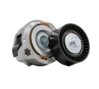 RIDEX PLUS 541V0018P Tenditore cinghia servizi