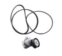RIDEX PLUS 542R0319P Kit Cinghie Poly-V