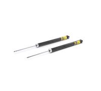RIDEX PLUS 854S1531P Ammortizzatore