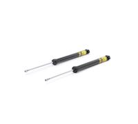 RIDEX PLUS 854S1734P Ammortizzatore