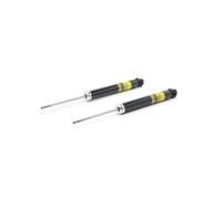 RIDEX PLUS 854S1758P Ammortizzatore