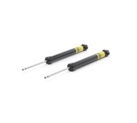 RIDEX PLUS 854S2103P Ammortizzatore