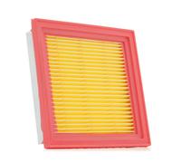RIDEX PLUS 8A0049P Filtro aria