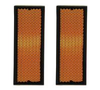 RIDEX PLUS 8A0169P Filtro aria