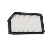 RIDEX PLUS 8A0191P Filtro aria