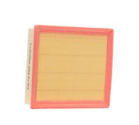RIDEX PLUS 8A0269P Filtro aria