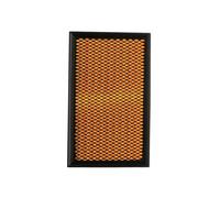 RIDEX PLUS 8A0277P Filtro aria