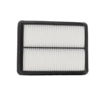 RIDEX PLUS 8A0461P Filtro aria