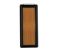 RIDEX PLUS 8A0615P Filtro aria