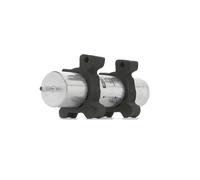 RIDEX PLUS 9F0065P Filtro carburante