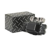 RIDEX Supporto Cambio 249M0002 per VW Golf IV Schrägheck (1J1) GOLF VI (5K1)