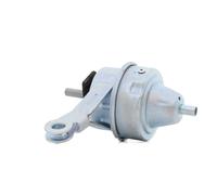 RIDEX Supporto motore Supporto idraulico per MINI Hatchback (R50, R53) Anteriore