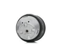 RIDEX Supporto motore Supporto idraulico per VW Transporter IV Bus Anteriore Dx