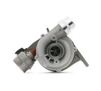 RIDEX Turbina per RENAULT Clio III Hatchback (BR0/1, CR0/1) Scénic III (JZ0/1)