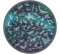 Puzzle rotondo mappa del cielo stellato 1000 pezzi