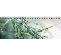 rido/idé 7036311037 Querterminbuch Premium Young Line 2027 "Greeny" 297×105 mm, Papier