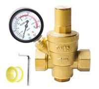 Riduttore di pressione acqua 1/2 pollici DN15 con manometro, riduttore di pressione dell'acqua, regolatore di pressione dell'acqua regolabile, riduttore di pressione da 1,6 MPa e strumento di
