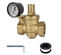 Riduttore di pressione dell'acqua da 1 pollice con manometro: HOMURY DN25 riduttore di pressione dell'acqua, regolatore di pressione dell'acqua regolabile, riduttore di pressione dell'acqua, riduttore