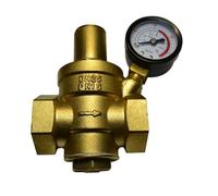 Riduttore di pressione dell'acqua in ottone Regolatore di riduzione 1/2 3/4 1 1-1/4 Regolabile con manometro PN 1.6(DN25)