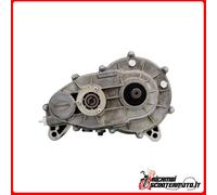 RIDUTTORE DIFFERENZIALE CAMBIO 1:11 MICROCAR MGO 1 VH861BL4 1006121#1