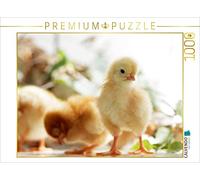 Riedel Tanja CALVENDO Puzzle - Puzzle da 1000 pezzi, dimensioni della lega: 64 x 48 cm