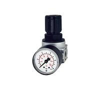 RIEGLER 100339-R 05-10 - Regolatore di pressione "multifix-mini" con Mano, BG 0, G 1/8, 0,5-10 bar, 1 pezzo