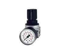 RIEGLER 100341-R 06-3 - Regolatore di pressione "multifix-mini" incluso Mano, BG 0, G 1/4, 0,1-3 bar, 1 pezzo
