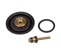 RIEGLER 100347-22.1805.4 - Set di pezzi di usura multifix mini, BG 0, G 1/8 e G 1/4, 1 pezzo