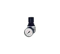 RIEGLER 100350-RB 06-10 - Regolatore di pressione multifix mini, G 1/4, 0,5-10 bar, 1 pezzo