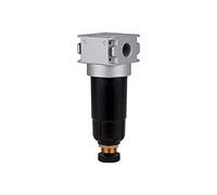 RIEGLER 100365-F 05 M - Filtro multifix mini con contenitore in metallo, 5 µm, BG 0, G 1/8, 1 pezzo