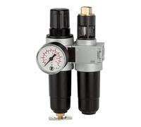 RIEGLER 100397-CL 06 M - Unità di manutenzione multifix mini con contenitore in metallo, G 1/4, 1 pezzo