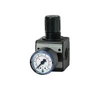 RIEGLER 100427-R 34-3 - Regolatore di pressione "multifix", con manometro, BG 3, G 3/4, 0,1-3 bar, 1 pezzo