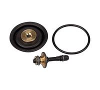 RIEGLER 100438-22.1811.4 - Set di parti di usura con membrana, cono valvola e O-ring, 30 x 2, 1 pezzo