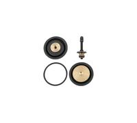 RIEGLER 100466-22.18933.4 - Set di parti di usura, regolatore di pressione pneum, telecomando "Multifix", BG3, 1 pezzo