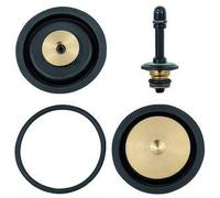 RIEGLER 100467-22.18955.4 - Set di parti usura, regolatore di pressione pneum, telecomando "Multifix", BG5, 1 pezzo