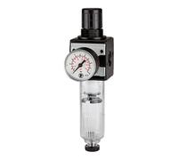 RIEGLER 100473-C 12-K 6-HA - Regolatore filtro multifix per PC, BG 1, G 3/8, 0,2-6 bar, HA, 1 pezzo