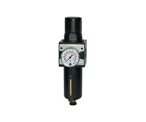 RIEGLER 100493-C 11 M-SR - Regolatore filtro multifix, contenitore in metallo e tubo di visualizzazione, BG 1, G 1/4, 1 pezzo