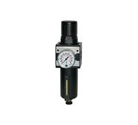 RIEGLER 100494-C 12 M-SR - Regolatore filtro multifix, contenitore in metallo e tubo di visualizzazione, BG 1, G 3/8, 1 pezzo
