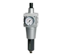 RIEGLER 100497-C 55 M-SR - Regolatore filtro multifix, contenitore in metallo e tubo di visualizzazione, BG 5, G 1, 1 pezzo