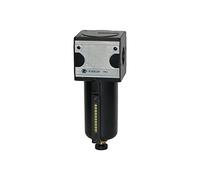 RIEGLER 100525-F 34 M-SR - Filtro multifix in metallo, 5 µm, BG 3, G 3/4, HA, 1 pezzo