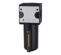 RIEGLER 100544-FA - Filtro ai carboni attivi multifix 33 M, con contenitore in metallo, BG 3, G 1/2, 1 pezzo